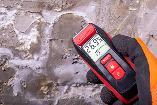 Best Post-Flood Mold Remediation in Soperton, GA